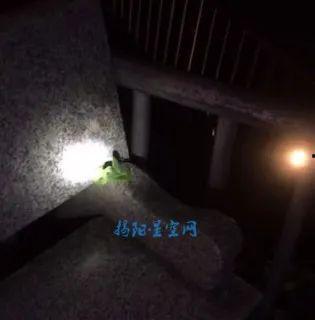 水族毒蛇爆料视频大全,惊心动魄的爆料视频大全